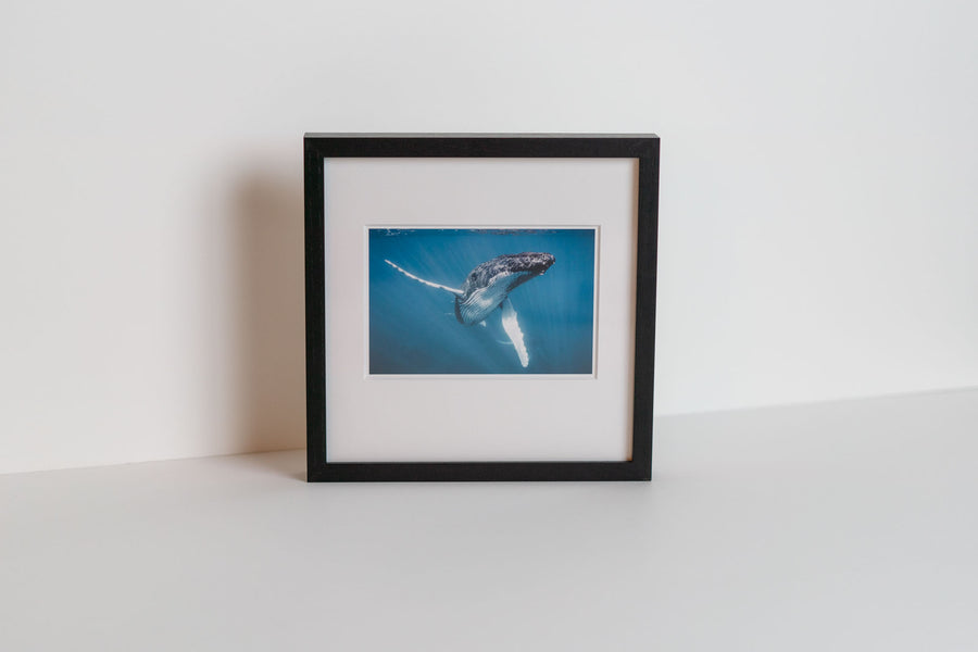 Square Print + Frame