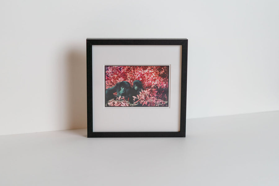 Square Print + Frame