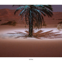 Desert #04