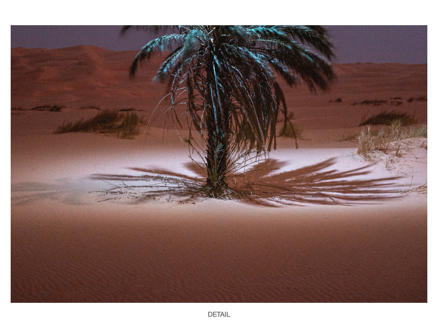 Desert #04